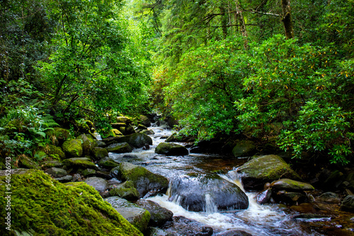Hidden Stream