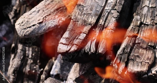 Wallpaper Mural Burning logs in a campfire while cooking and warming Torontodigital.ca