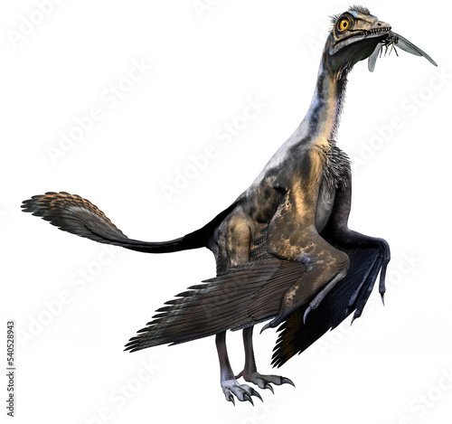 Archaeopteryx from the Jurassic era 3D illustration photo