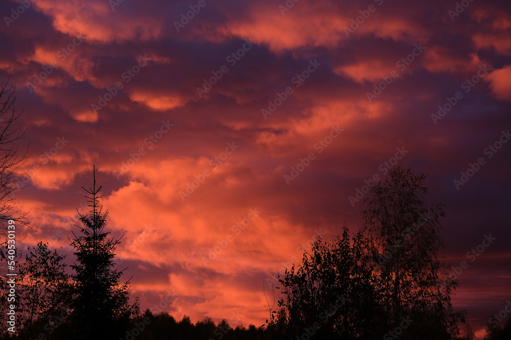 Fototapeta premium Rural landscape with heavy colorful crimson sunset clouds in the evening
