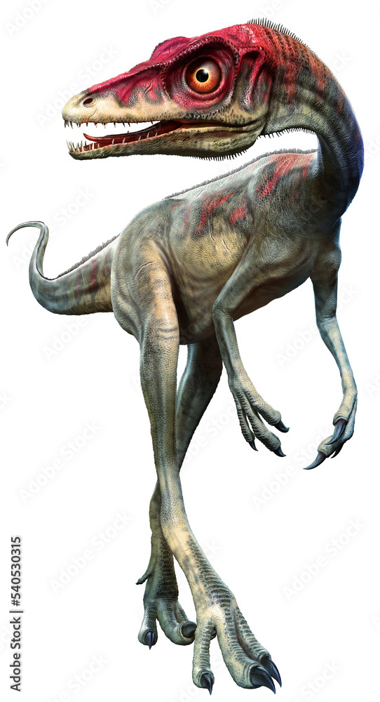 Fototapeta premium Compsagnathus from the Jurassic era 3D illustration 
