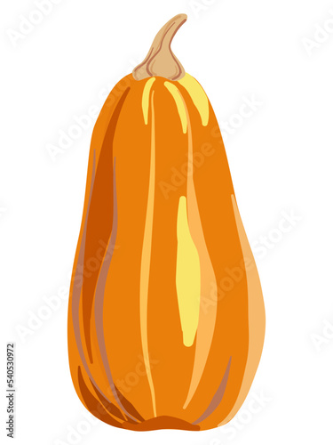 Orange pumpkin with brown stem. Vegetable is tall, elongated. Hand drawn drawing with paint strokes, flat cartoon style. Isolated autumn food icon. Vector illustration for Thanksgiving holiday clipart