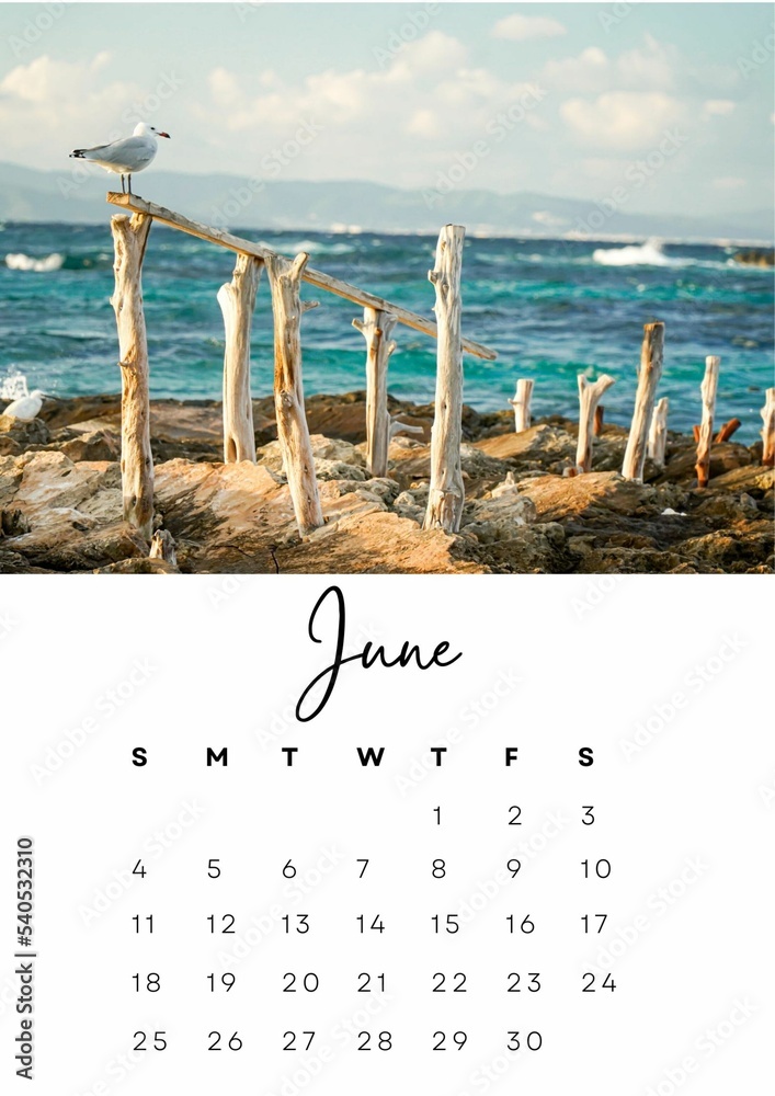The month of June in the 2023 calendar with a summer photo. Author's  calendar for 2023 by month. Stock Photo | Adobe Stock