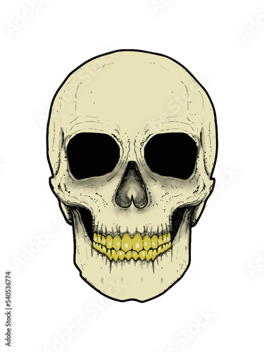 Vector illustration of a light beige creepy human skull isolated on a white background