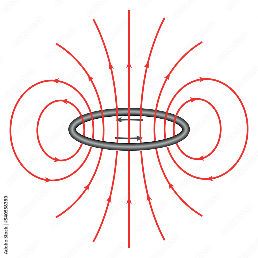 The field lines of a circular current loop. Scientific vector