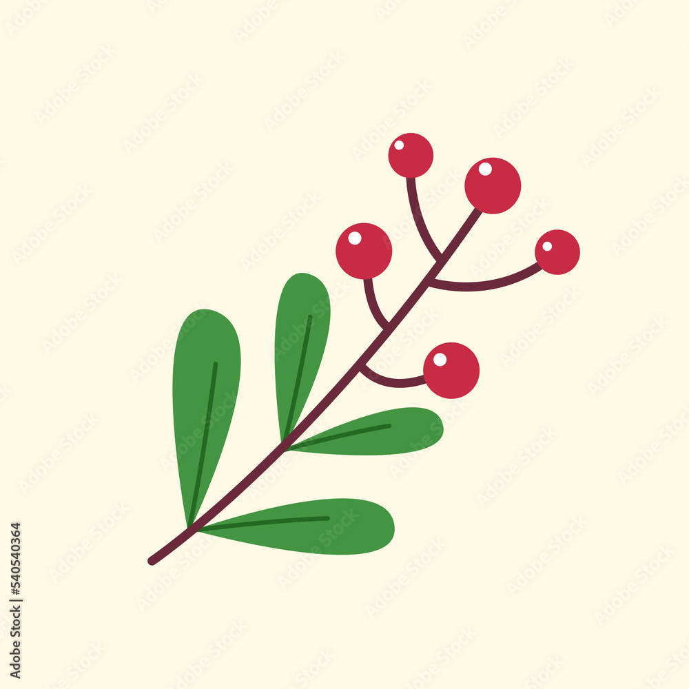 Christmas holly berry leaves isolated. Cute holly isolated on pastel background. Vector illustration.