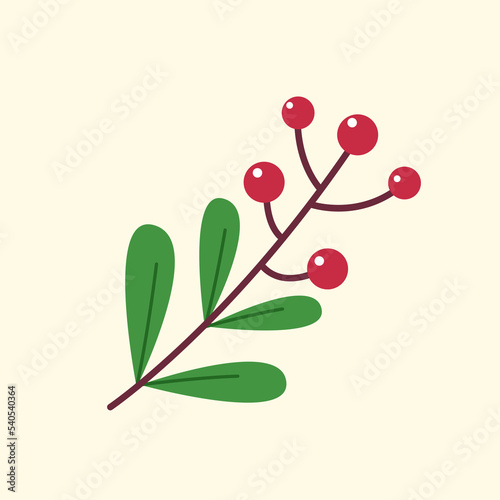Christmas holly berry leaves isolated. Cute holly isolated on pastel background. Vector illustration.