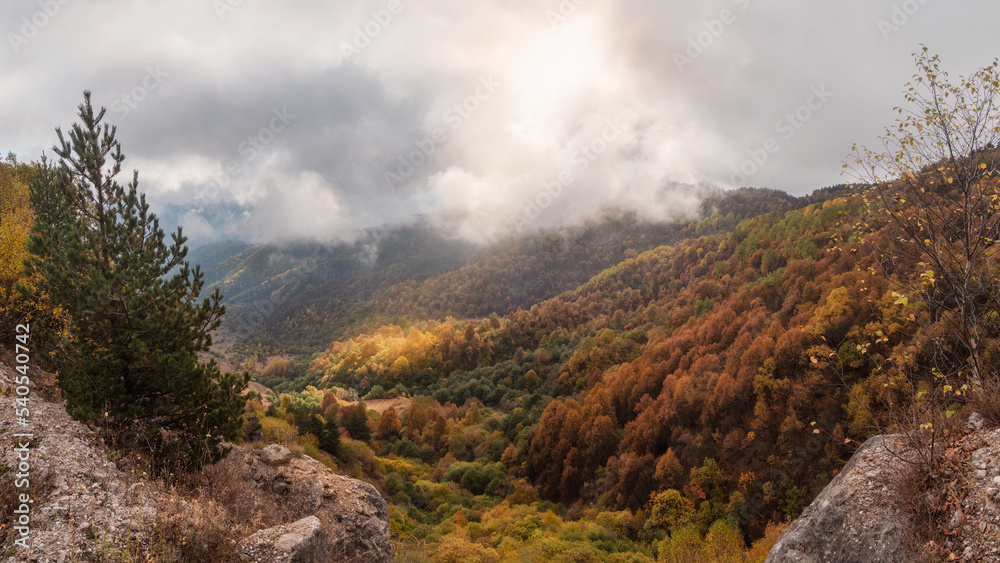 Light on mountainside. Wonderful scenic landscape to beautiful fall mountains with trees in foggy sunny day. Misty autumn scenery with forest hills in sunlight. Picturesque autumn mountains.