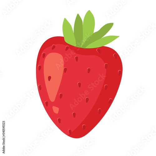 Stawberry red summer fruit, white background. Vector graphic illustration. Vegetarian cafe print, poster, card. Natural, organic dessert sweet, fresh berry,