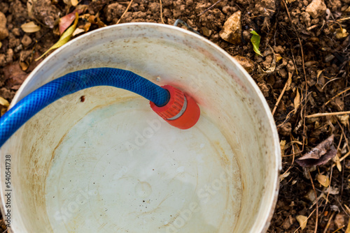 A watering hose filling a white bucket of water in a garden
