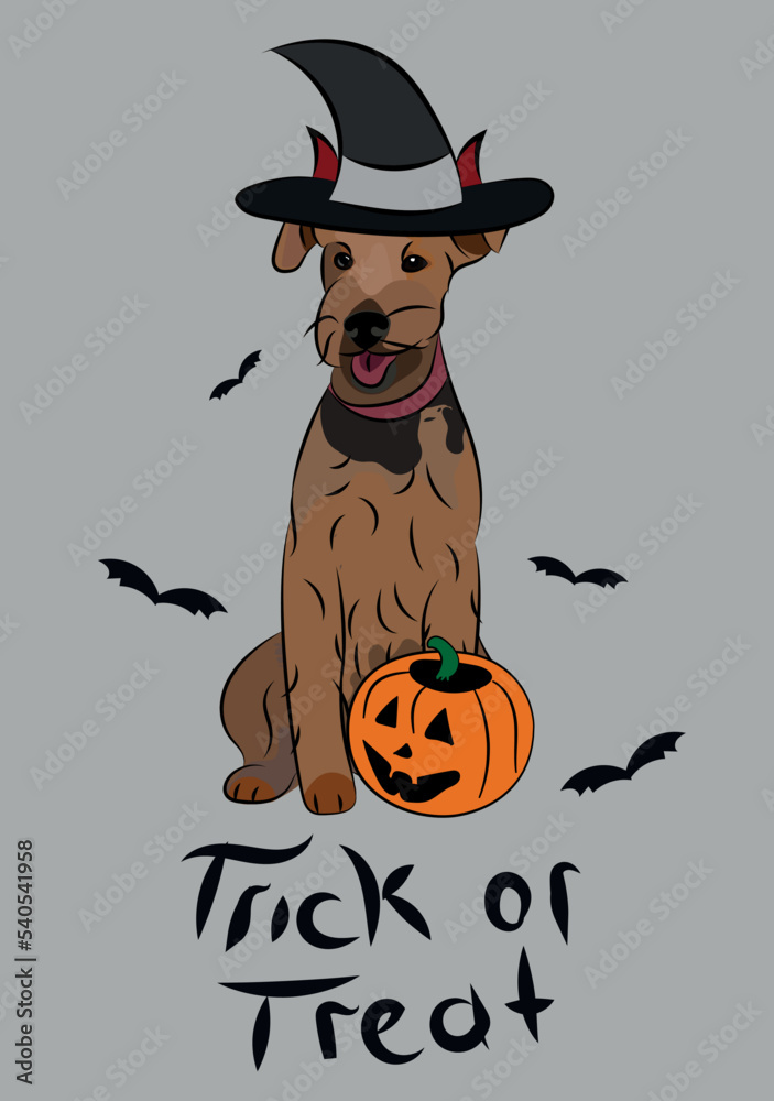 Dog Halloween greeting card with a sitting Welshie dog. Dog in a costume, pumpkin in a paw. Postcard for pet lovers. Pet character postcard art. Funny WT dog mascot. Witch spooky.