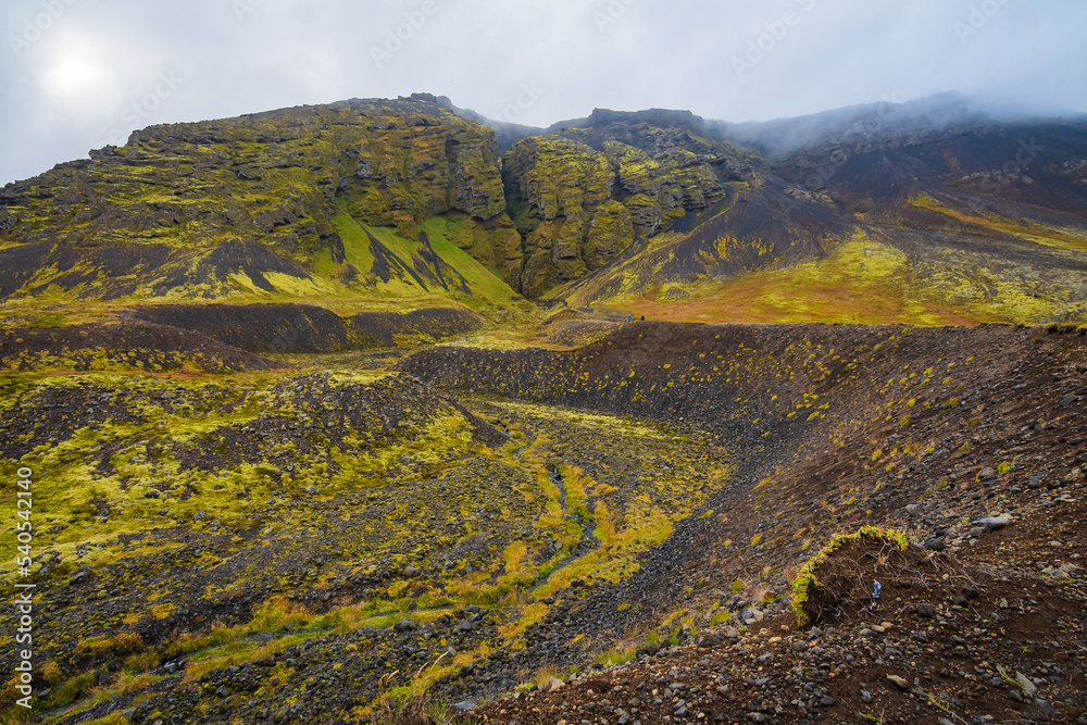 Fototapeta premium Rauðfeldsgjá Gorge (Snaefellsnes Peninsula, Iceland)