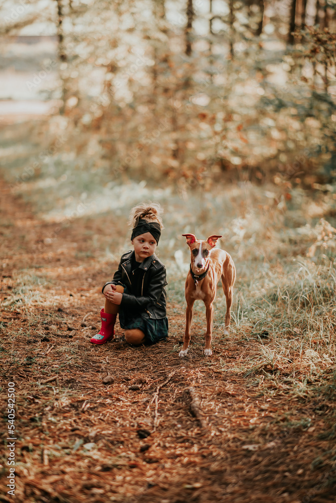 Mała modelka z psem whippet w lesie
