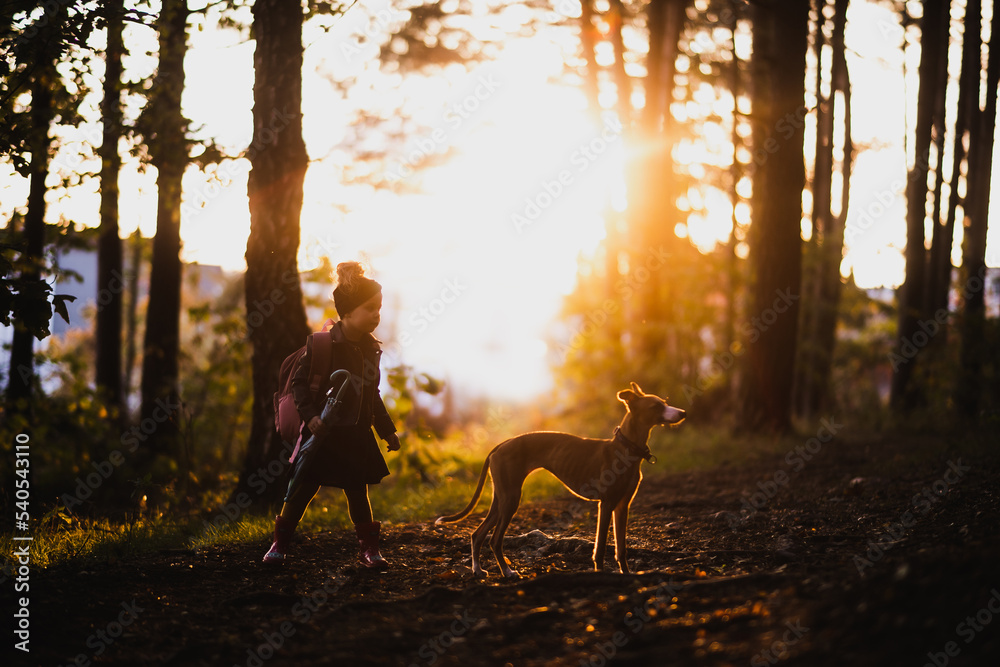Mała dziewczynka z psem na spacerze w lesie jesienią - obrazy, fototapety, plakaty 