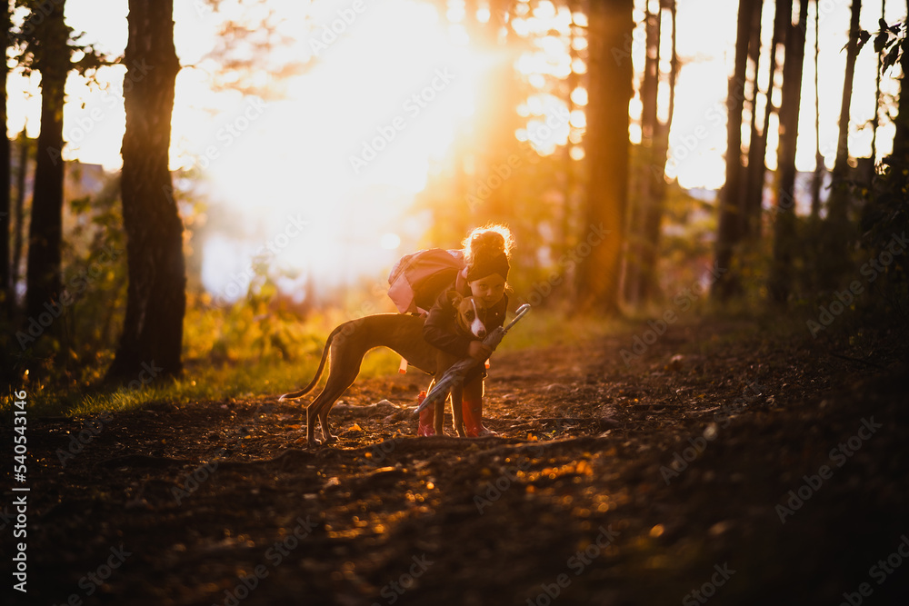 Małe dziecko z psem na spacerze w lesie - obrazy, fototapety, plakaty 