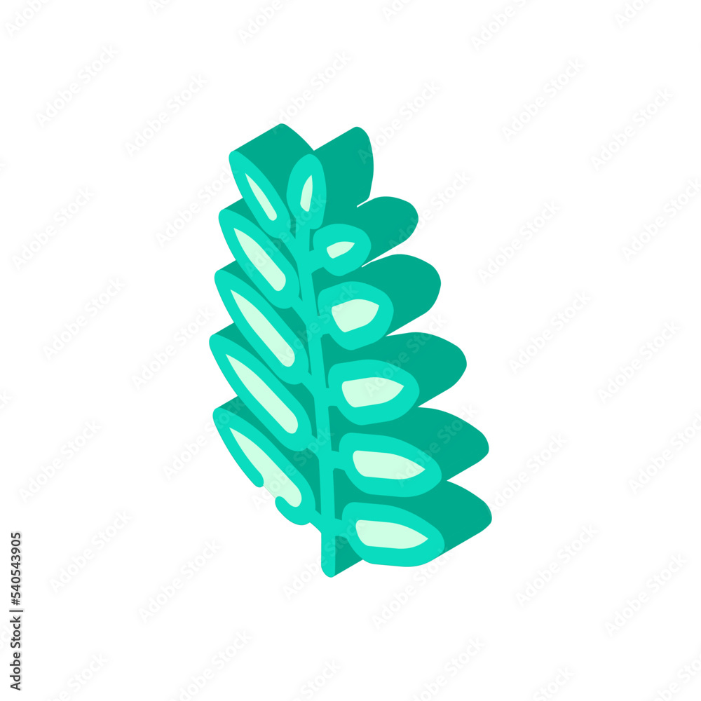 royal fern tropical leaf isometric icon vector. royal fern tropical leaf sign. isolated symbol illustration