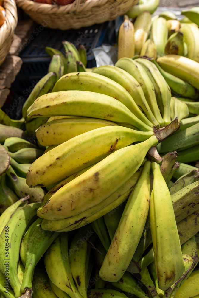 Selling cooking bananas at a farmers market in Colombia