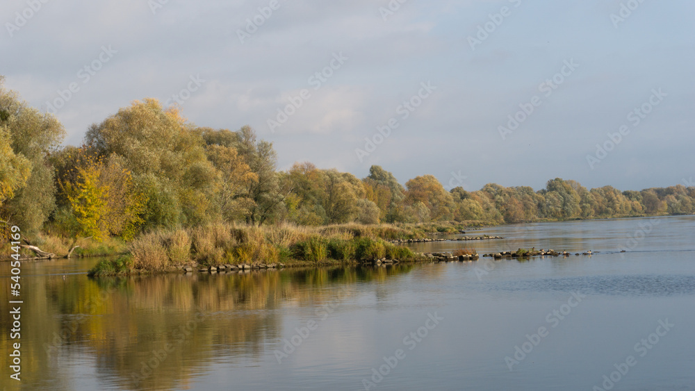 autumn in the forest