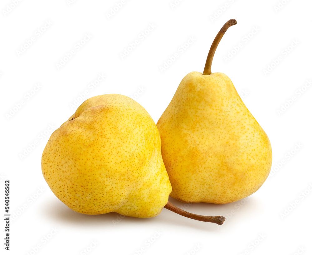 yellow pear path isolated on white yellow pear path isolated on white