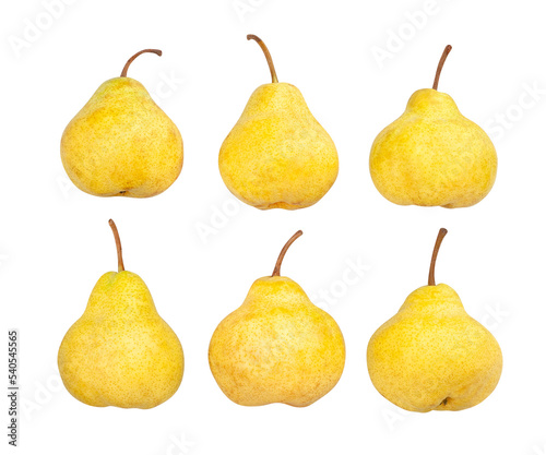 yellow pear path isolated on white