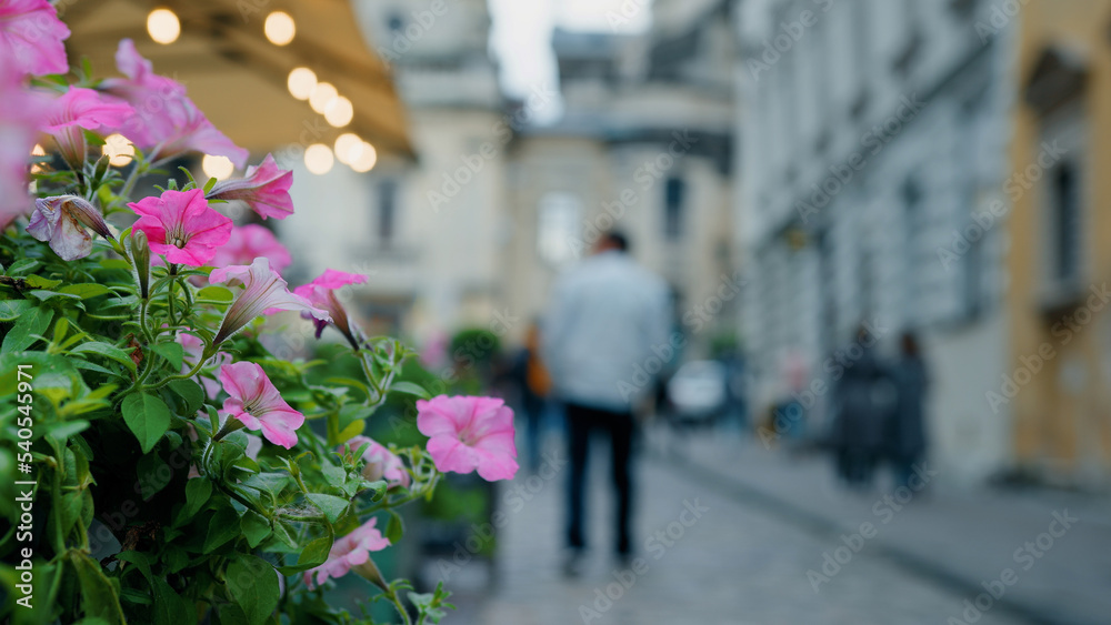 Obraz premium Blurred focus evening city diverse people walk along narrow historical street man tourist traveler walking around interesting tourist places sightseeing walks outdoors worldwide traveling walking tour