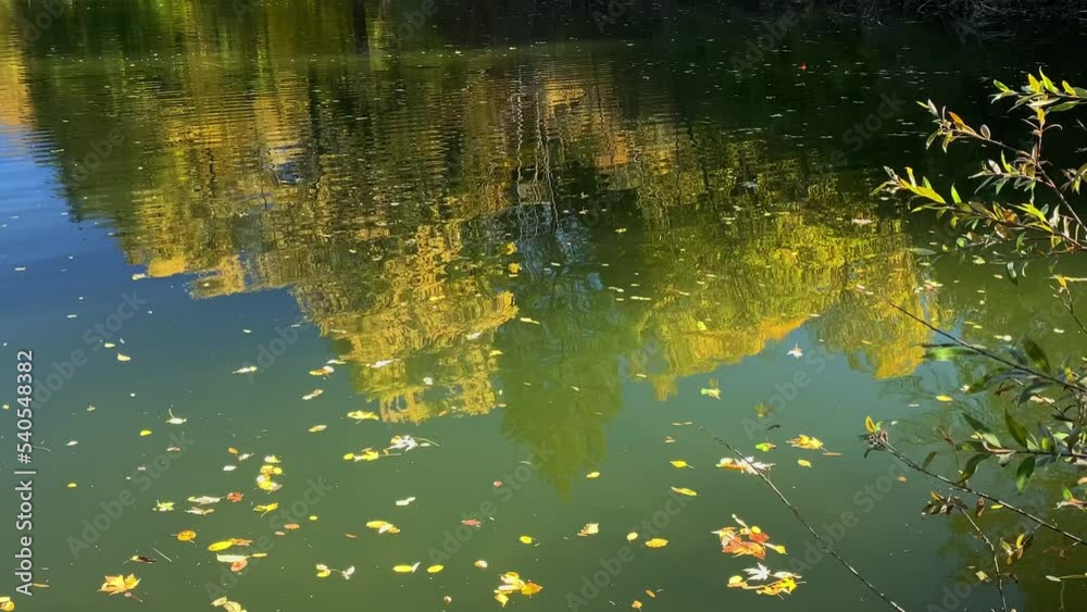 Autumn tree reflections in the pond Autumn tree reflections in the pond