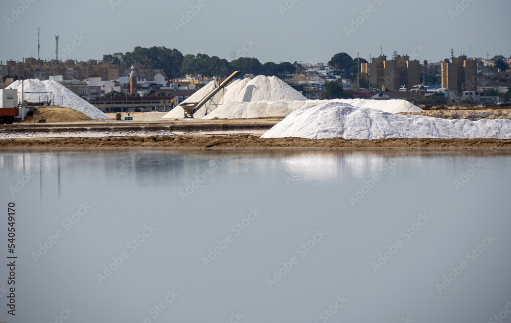 Aves en marismas y humedales
