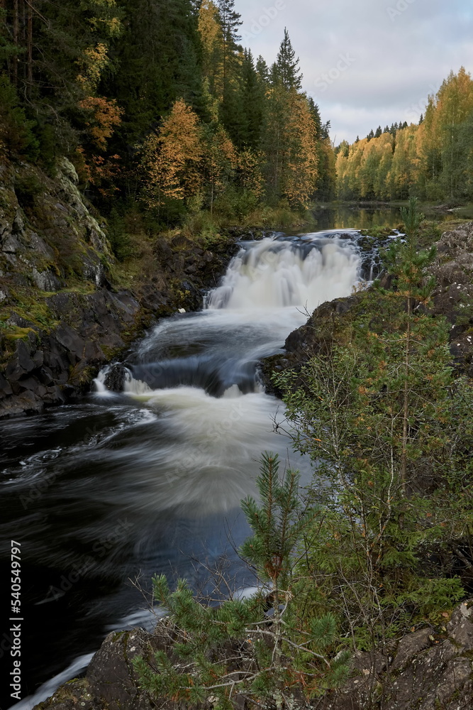 Stormy stream of Kivach waterfall in autumn Karelia Stormy stream of Kivach waterfall in autumn Karelia