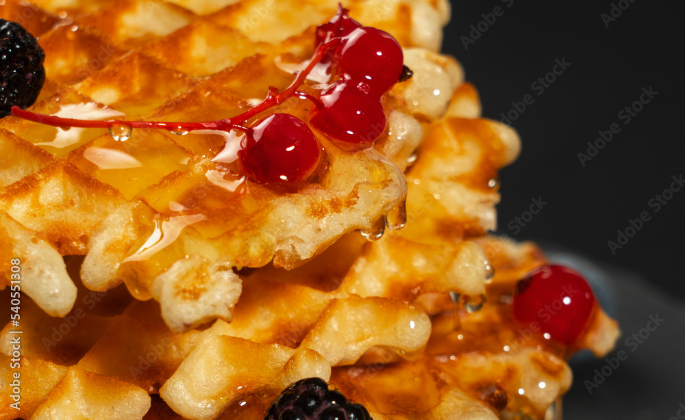 Fresh crispy Belgian waffles with fresh blueberries blackberries and red currants poured with fresh honey close-up Fresh crispy Belgian waffles with fresh blueberries blackberries and red currants poured with fresh honey close-up