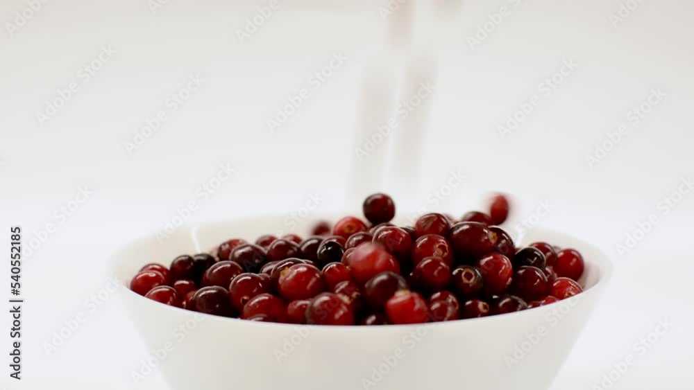 Red ripe cranberries is poured into white plate with white background