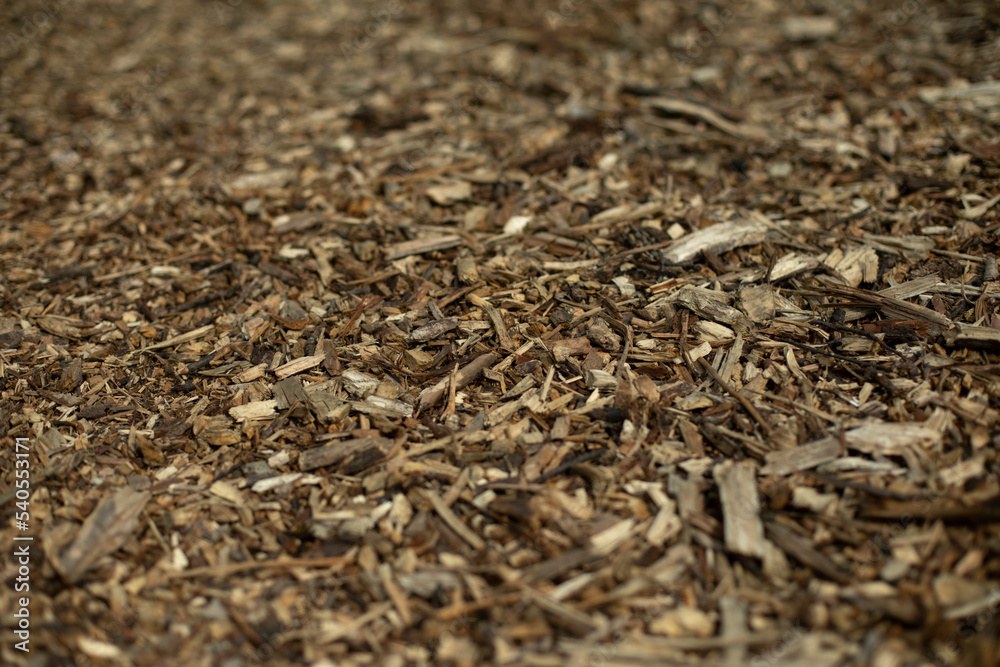 Wood chip texture. Wood trimmings. Background of small pieces of bark.
