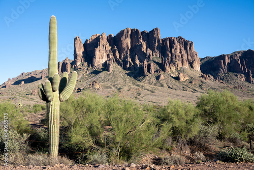 The Superstition Mountains with a Saguaro Cactus in the foreground located outside of Phoenix Arizona