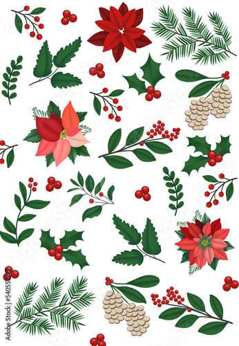christmas flowers