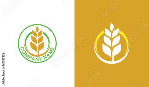 Wheat Grain Logo Stamp Badge Concept symbol sign icon Element Design. Agriculture, Bakery Logotype. Vector illustration template