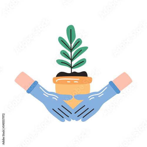 hands planting houseplant in pot
