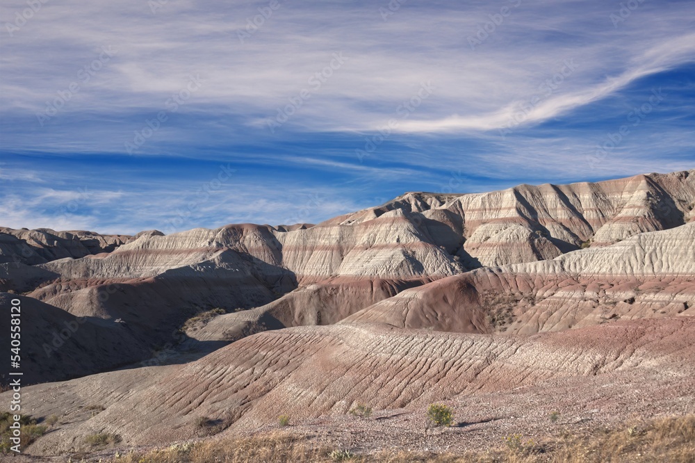 Fototapeta premium 850_9891