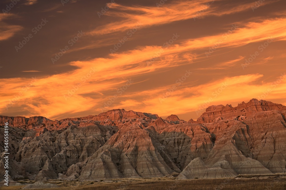 Naklejka premium 850_9940