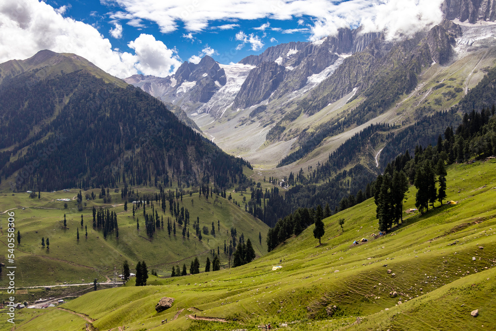 Beautiful Kashmir Landscape. Lush green meadows and mountains of Kashmir