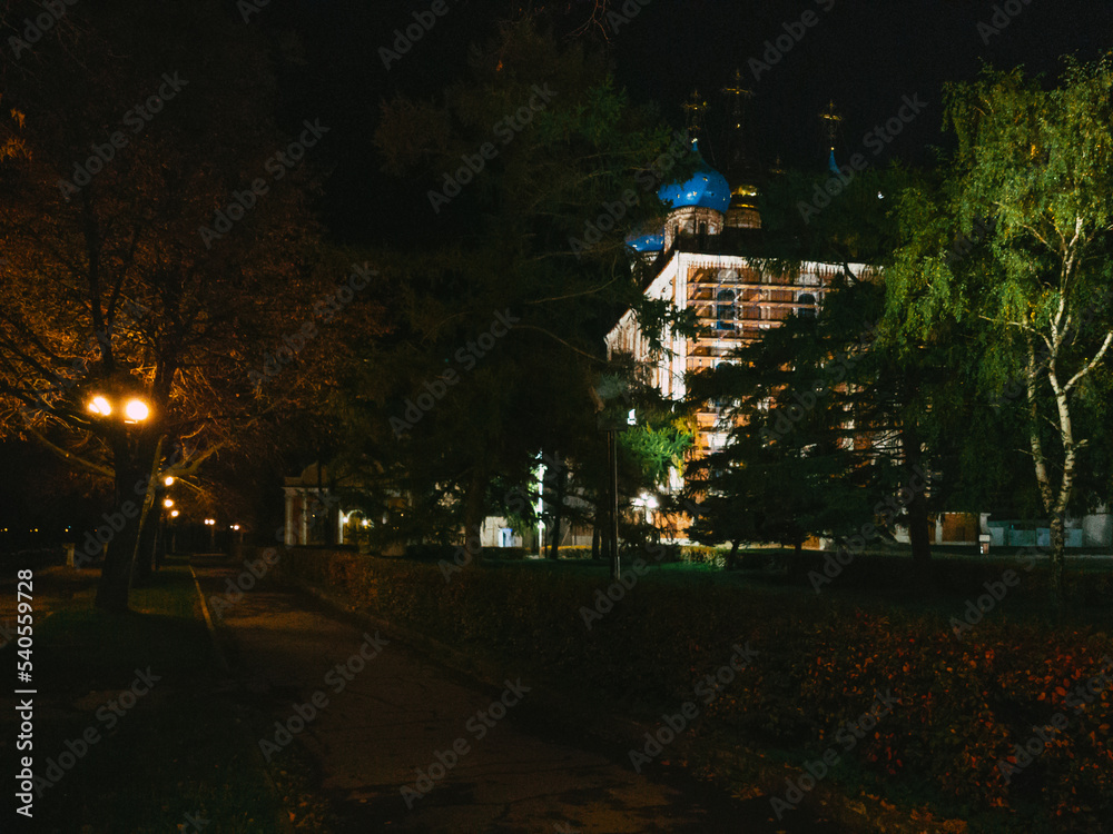 Fototapeta premium street in the night