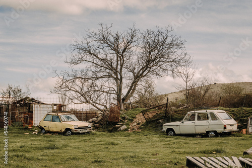 Leafless trees in the field with abandoned cars