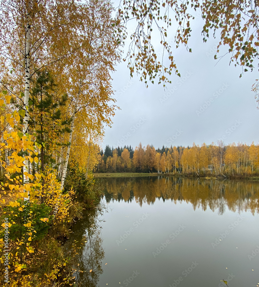 Fototapeta premium autumn in the park