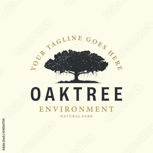 vintage retro banyan tree style logo vector design illustration, oak tree icon design