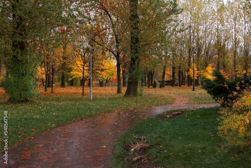 path in park © EVGENII