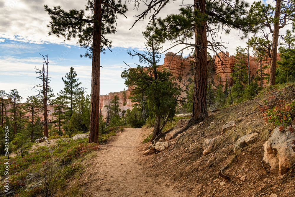 Hiking Trail in Bryce Canyon National Park