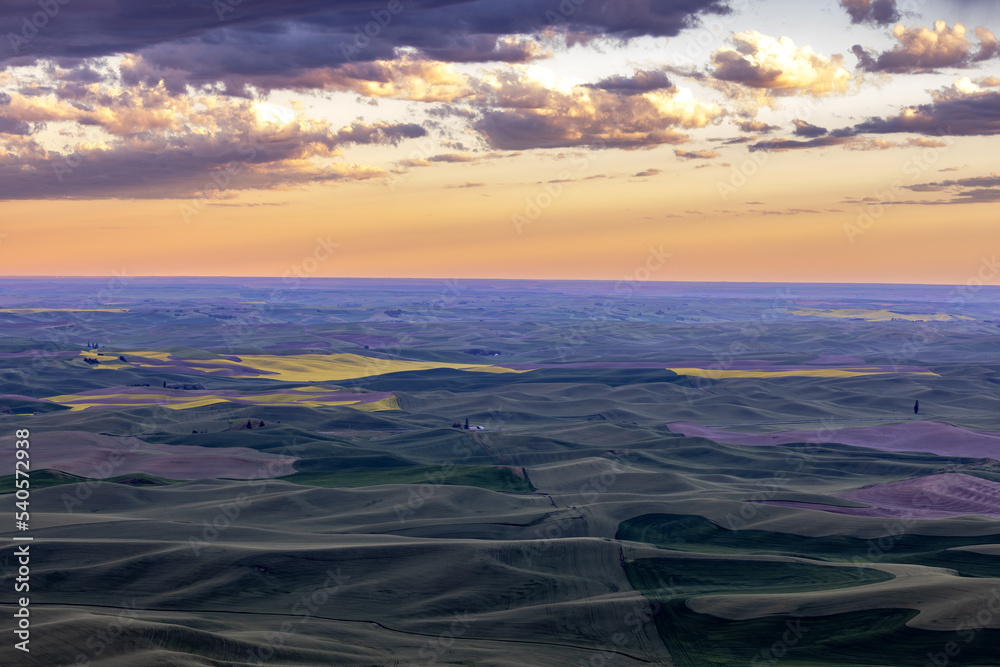 Obraz premium Steptoe Butte Vista 1