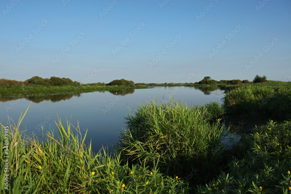 Landscape of Lac De Grand Lieu, Loire valley, Brittany, France Landscape of Lac De Grand Lieu, Loire valley, Brittany, France