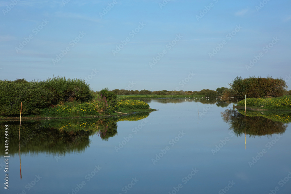 Landscape of Lac De Grand Lieu, Loire valley, Brittany, France