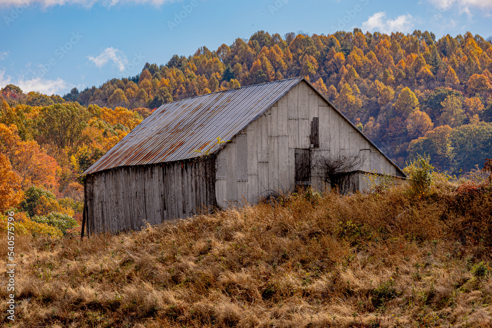 Fototapeta premium old barn in autumn