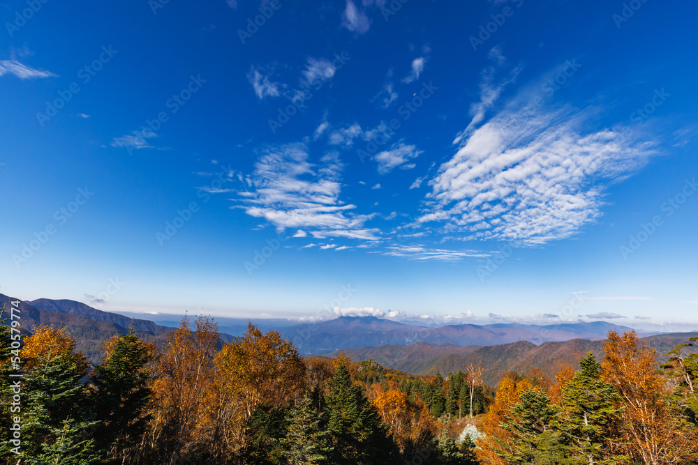 日光白根山周辺の紅葉した山の景色 日光白根山周辺の紅葉した山の景色