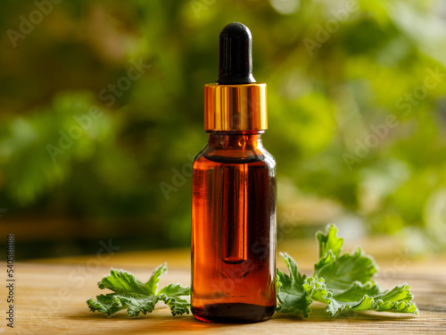 Geranium essential oil in dark glass bottle with fresh scented geranium leaves on old wooden board on blur natural background. Aromatherapy oil, spa massage, mosquito repellent. Close up